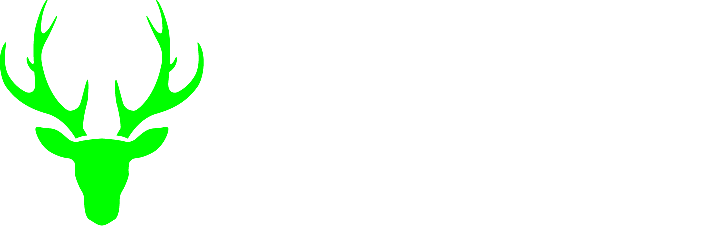 Deer Ear - Custom In Ear Monitoring